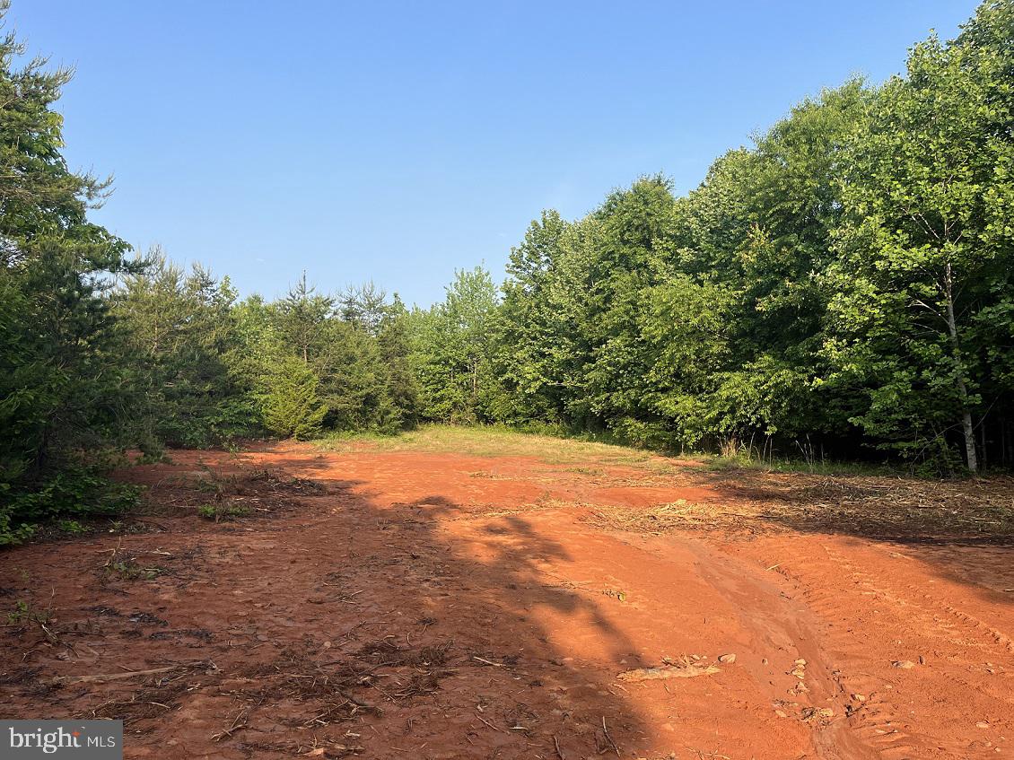 Lot 4 Ridge Road Barboursville, VA 22923 - Photo 19 of 28 Gallery Image 19