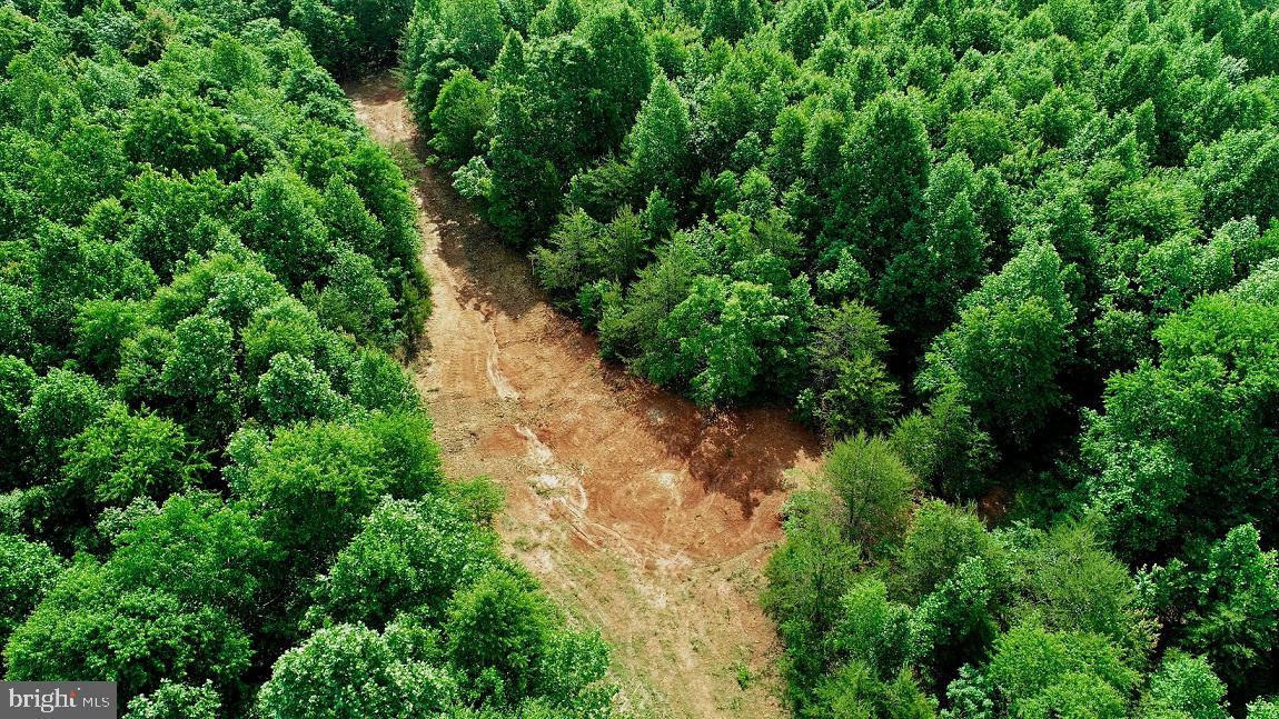 Lot 4 Ridge Road Barboursville, VA 22923 - Photo 4 of 28 Gallery Image 4