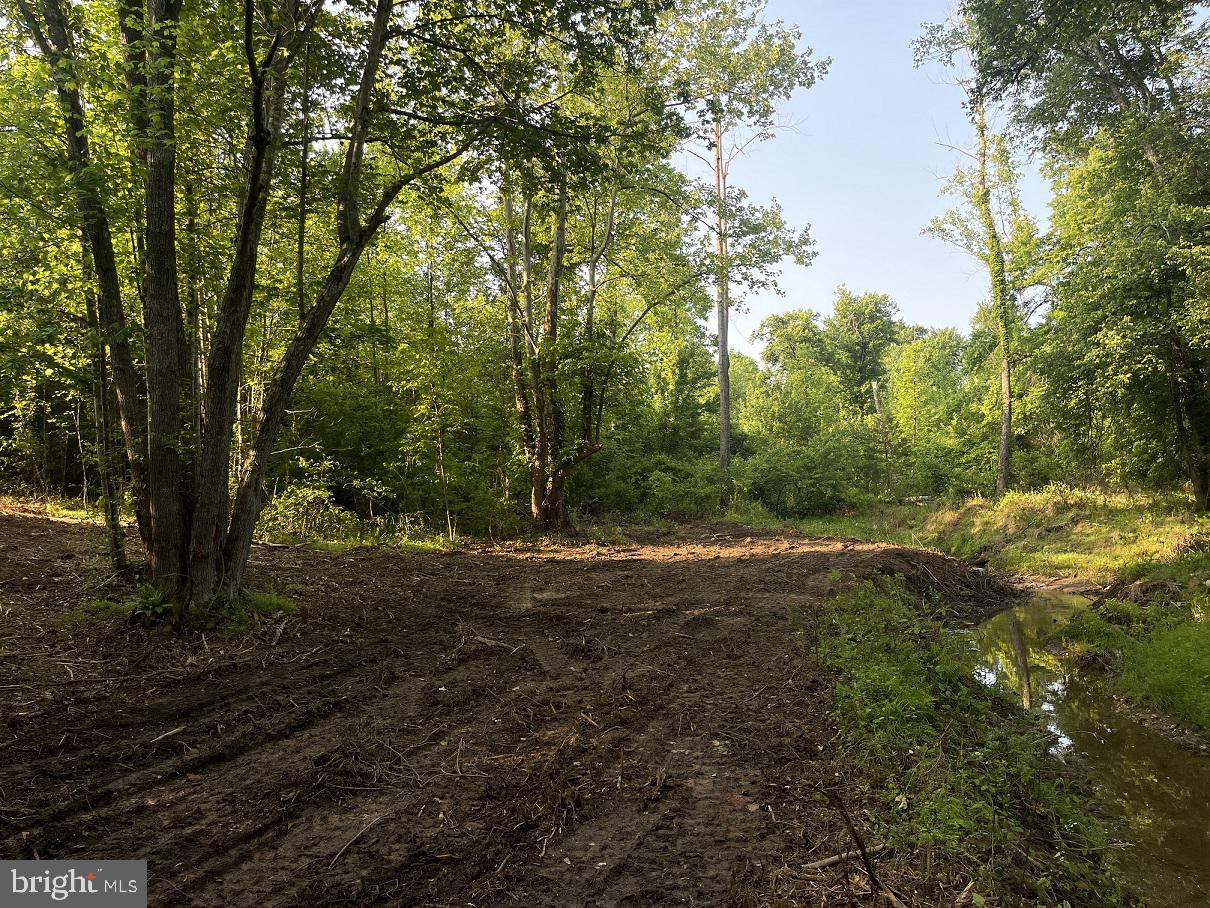 Lot 4 Ridge Road Barboursville, VA 22923 - Photo 7 of 28 Gallery Image 7