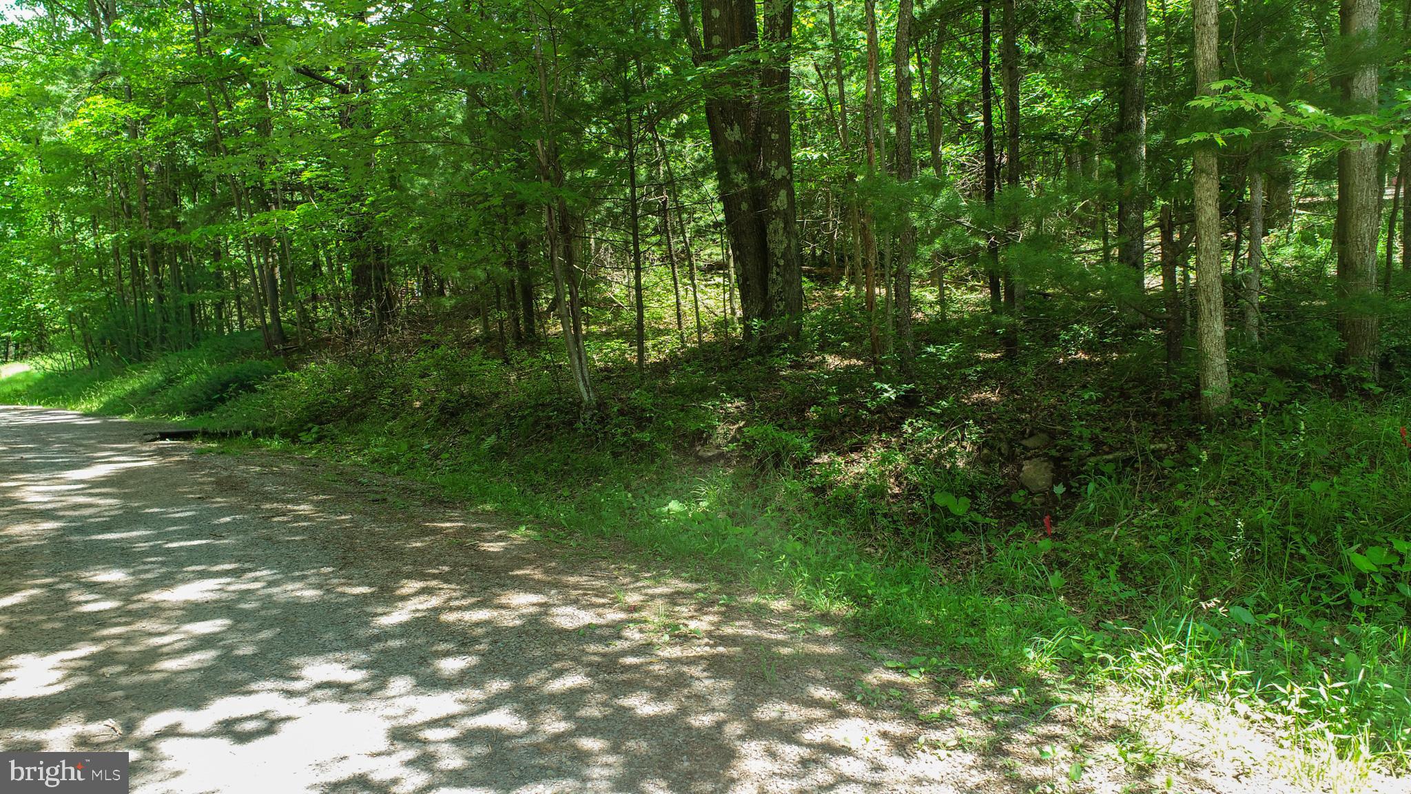 North Glade Road Swanton, MD 21561 - Photo 13 of 16