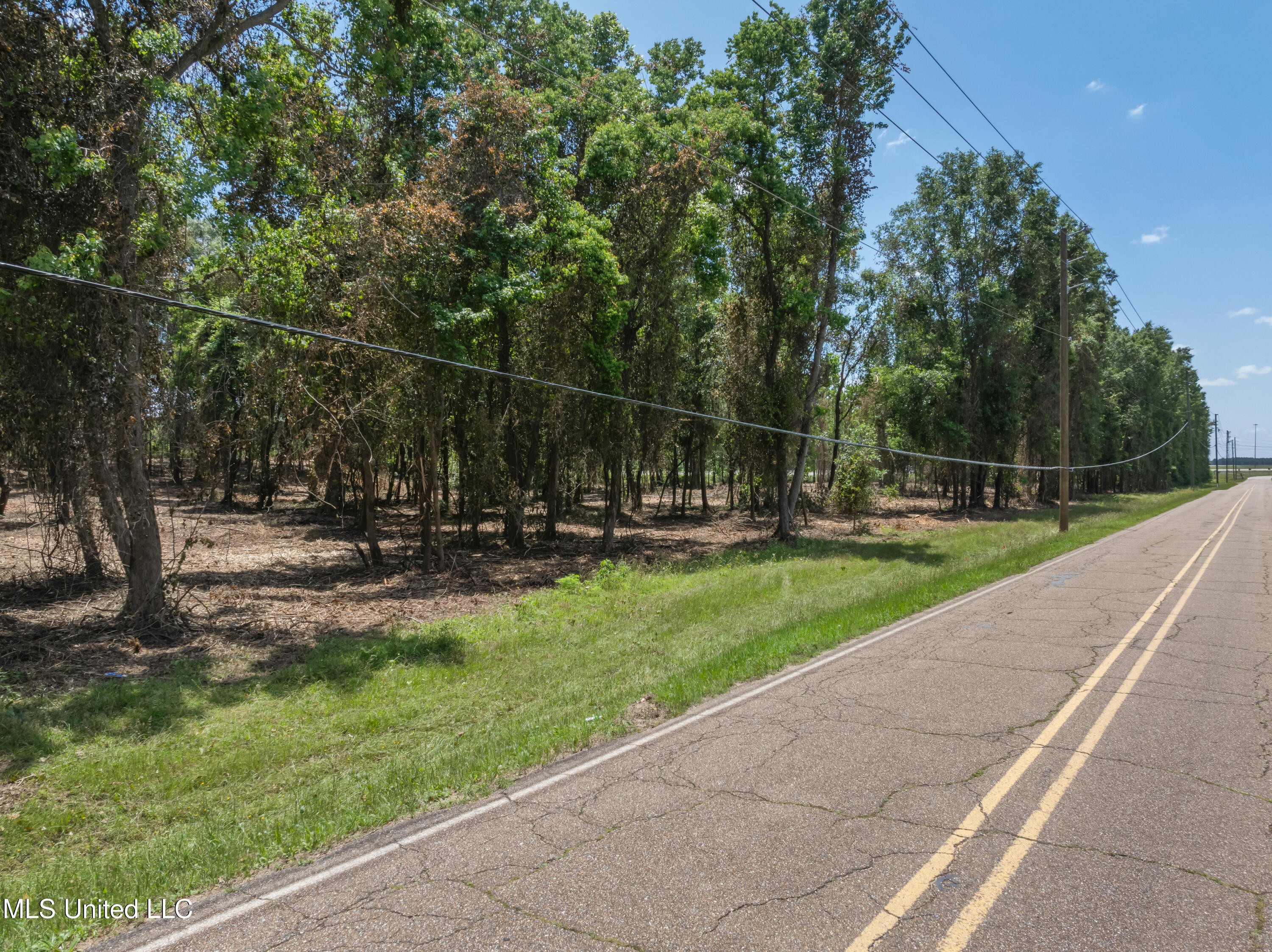 3.26-acres Eatonville Road Hattiesburg, MS 39401 - Photo 9 of 16 00_Eatonville_Rd-3