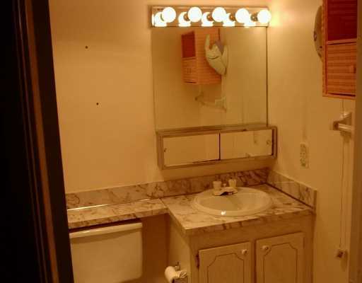 3100 Springdale Boulevard, Unit 111 Palm Springs, FL 33461 - Photo 8 of 16 Additional Photo