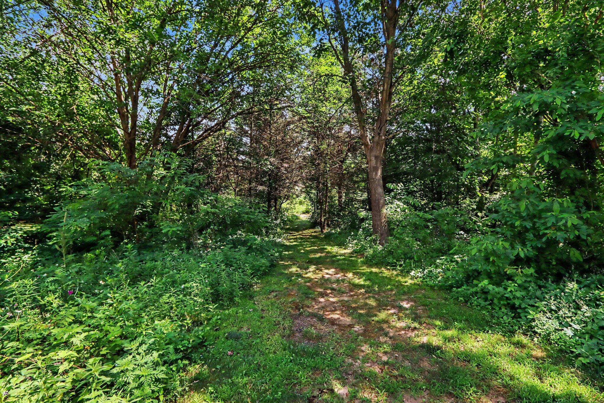 8203 Barony Point Mattawan, MI 49071 - Photo 45 of 48 044_file_4520