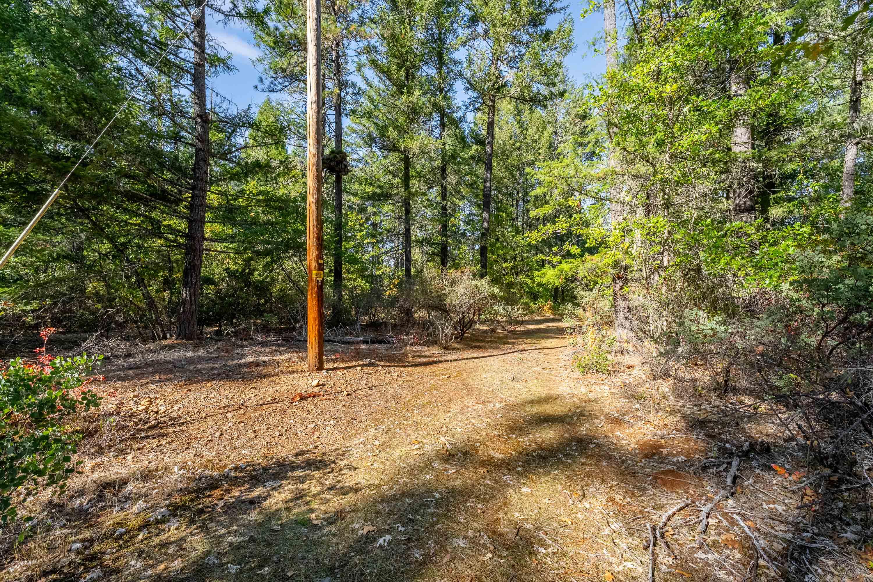 305 Floyd Lane Cave Junction, OR 97523 - Photo 1 of 10 Power pole