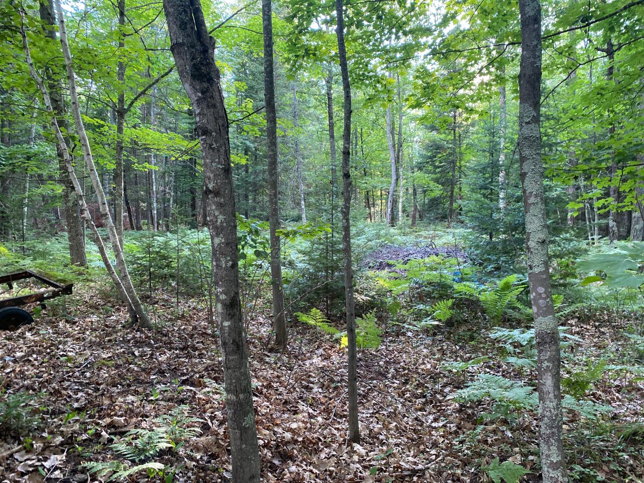 8234 Hull Road Eagle River, WI 54521 - Photo 28 of 28 Gallery Image 28