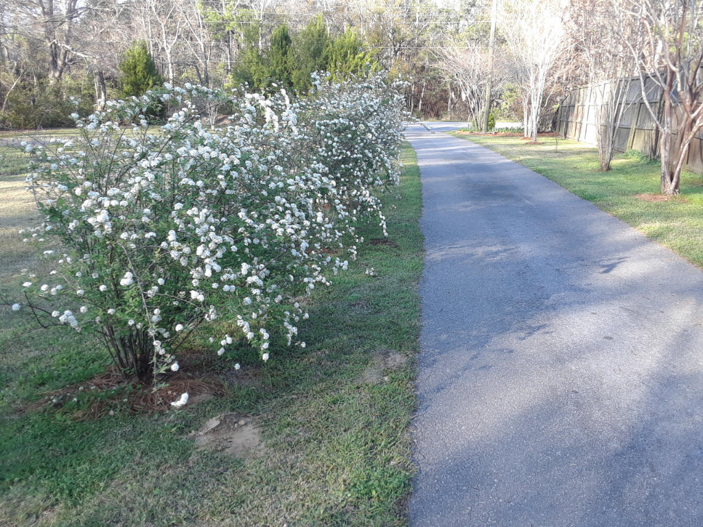 3367 State Rd S-10-1632 Johns Island, SC 29455 - Photo 23 of 27 22