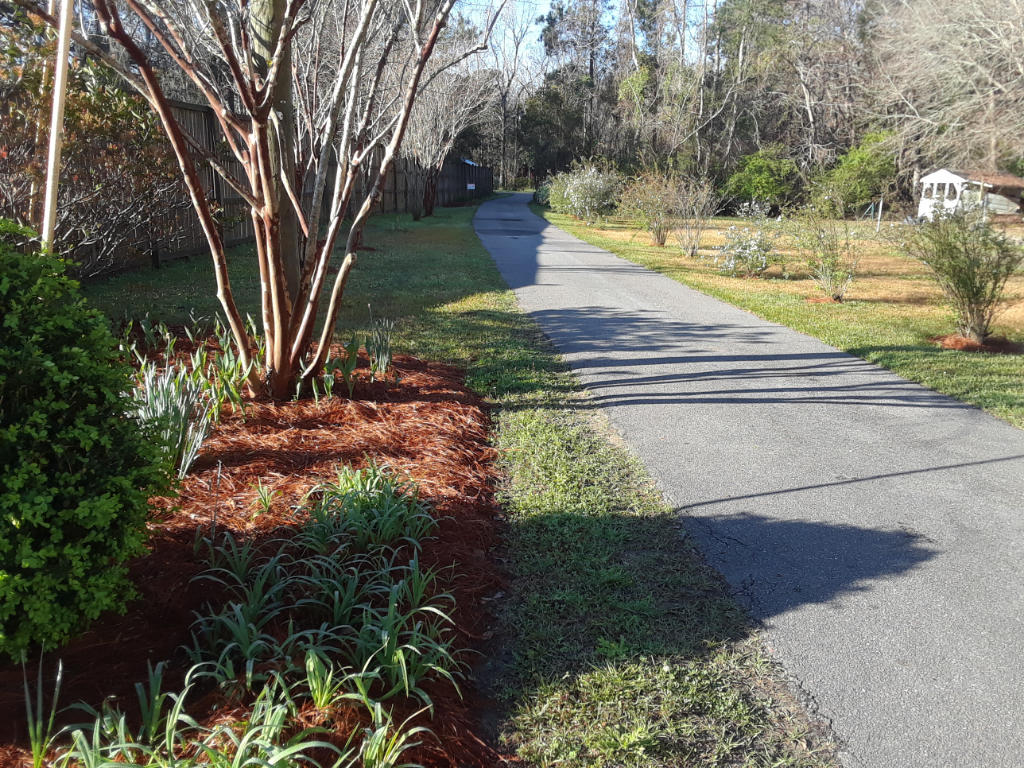 3367 State Rd S-10-1632 Johns Island, SC 29455 - Photo 24 of 27 23