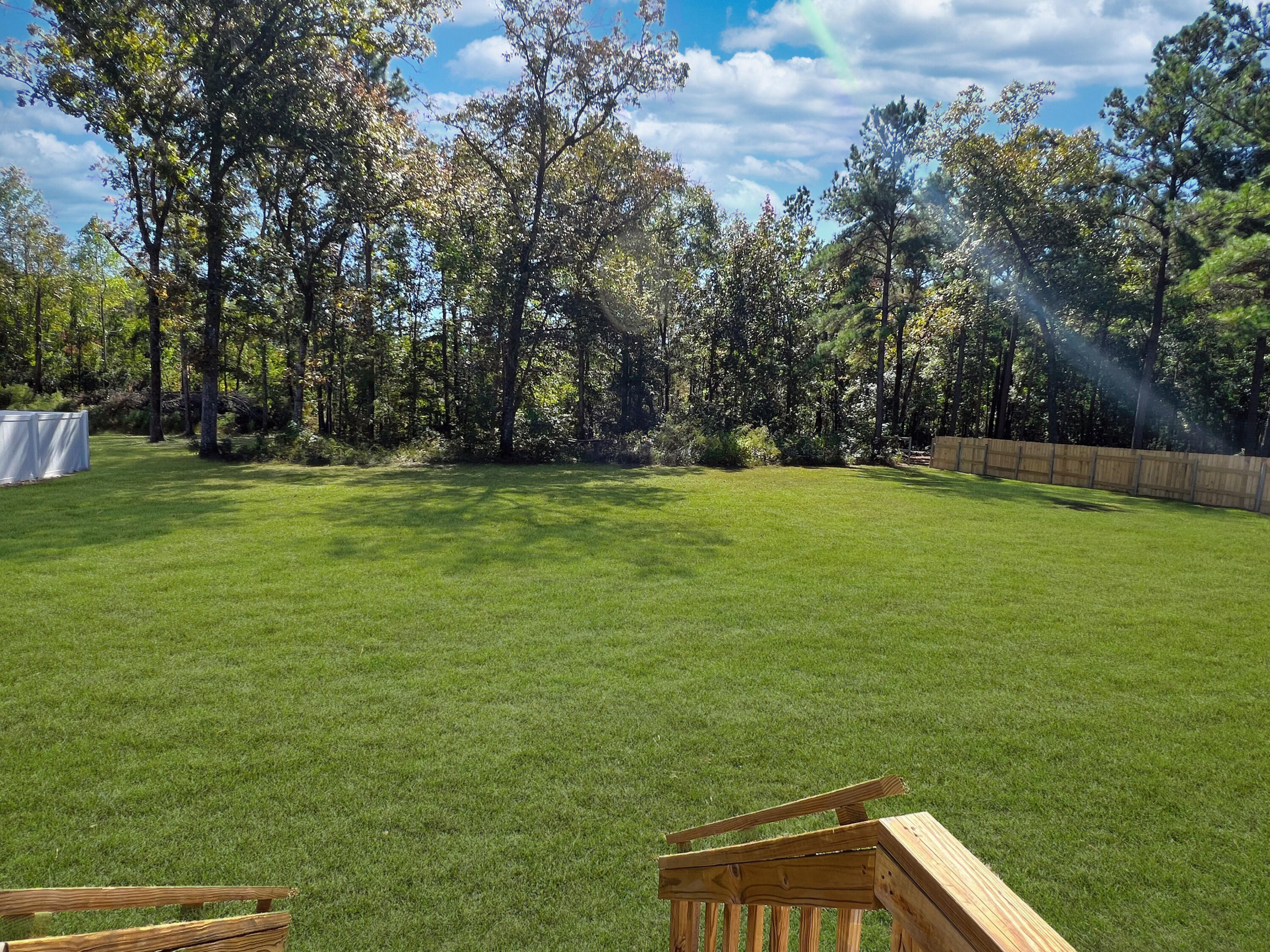 6082 Pleasant Grove Road Walterboro, SC 29488 - Photo 16 of 17 PGbackyard