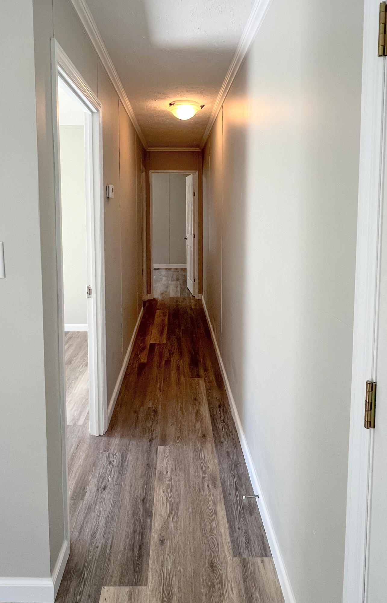 6082 Pleasant Grove Road Walterboro, SC 29488 - Photo 8 of 17 PGhall