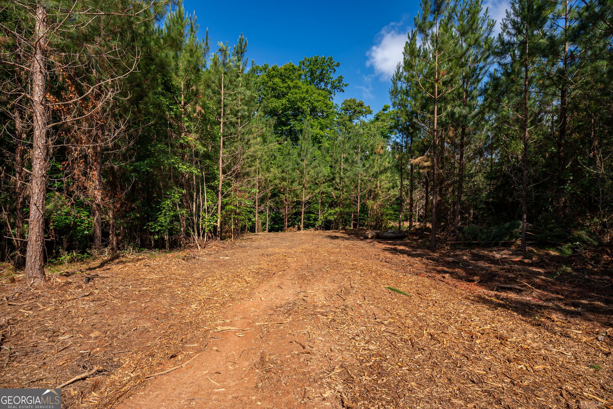 2 Brewer's Bridge Road Elberton, GA 30635 - Photo 15 of 24