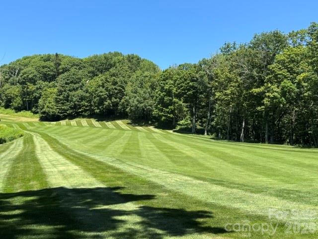 1209 McKinney Gap Road Mars Hill, NC 28754 - Photo 23 of 37