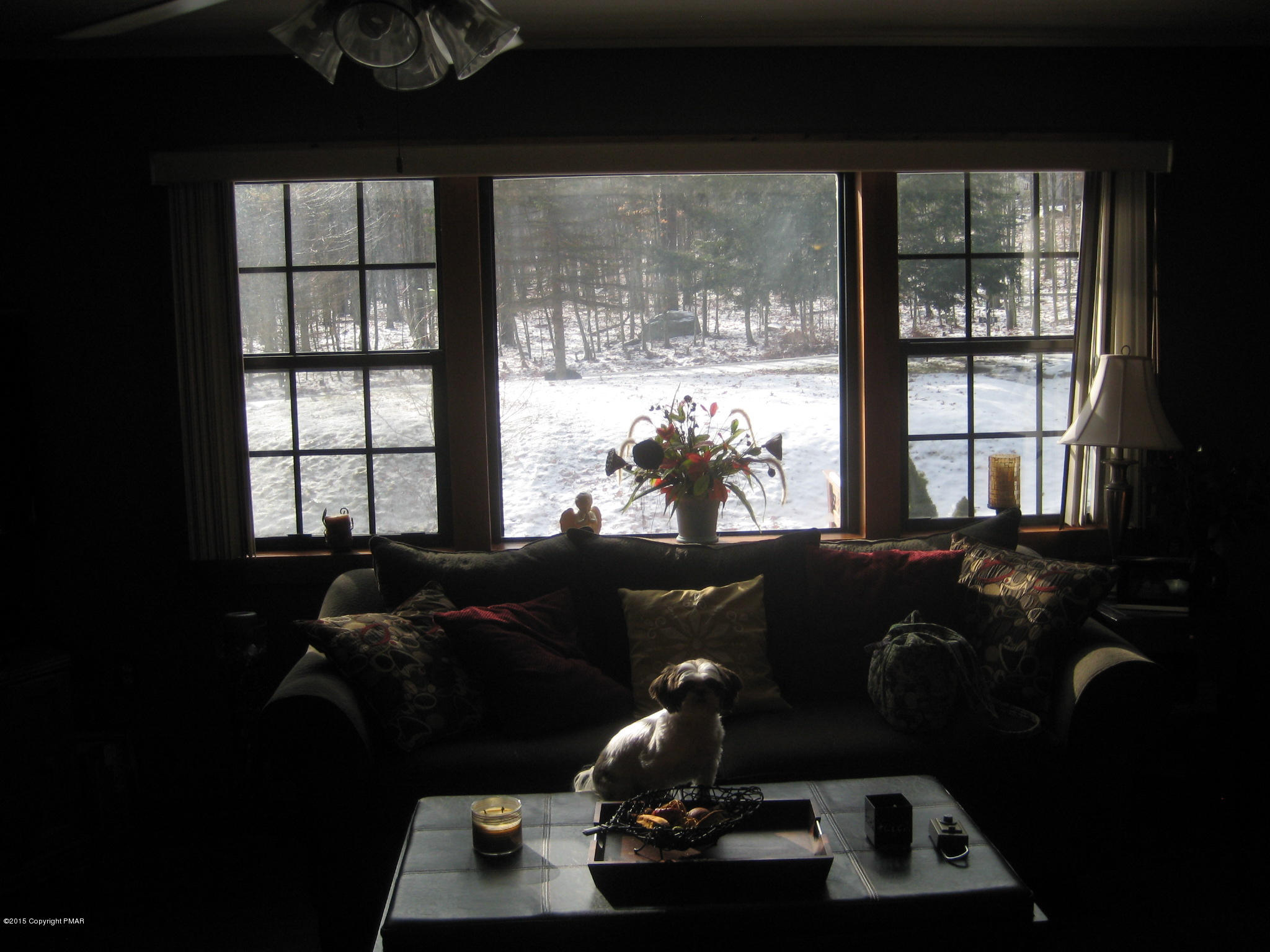 2222 Sparrow Road Bushkill, PA 18324 - Photo 7 of 30 Living room picture window view