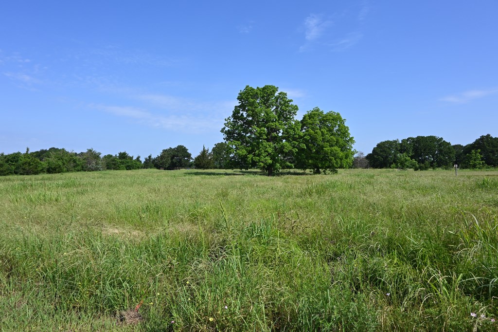 8698 River Bend Road Oakwood, TX 75855 - Photo 20 of 55