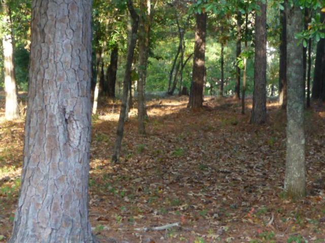 158 Foxhound Run Road Aiken, SC 29803 - Photo 18 of 18 Gallery Image 18