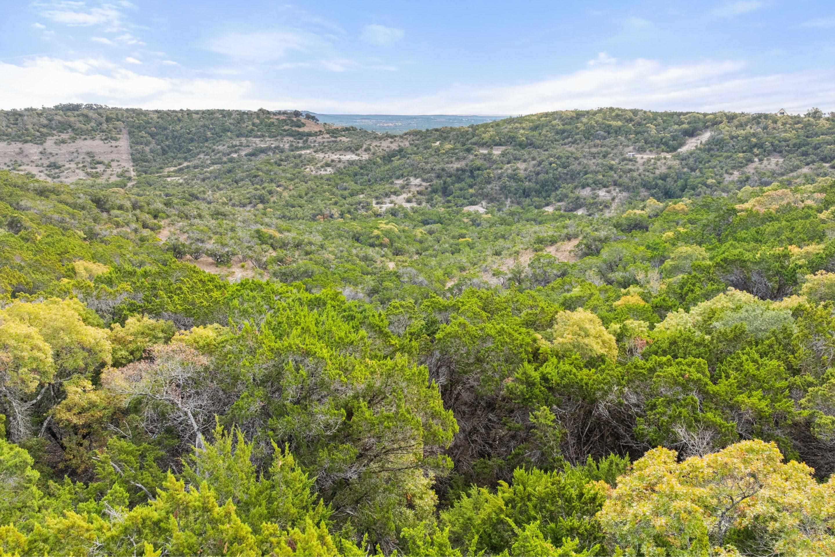 1600 Brushy Ridge Trail Blanco, TX 78606 - Photo 26 of 30