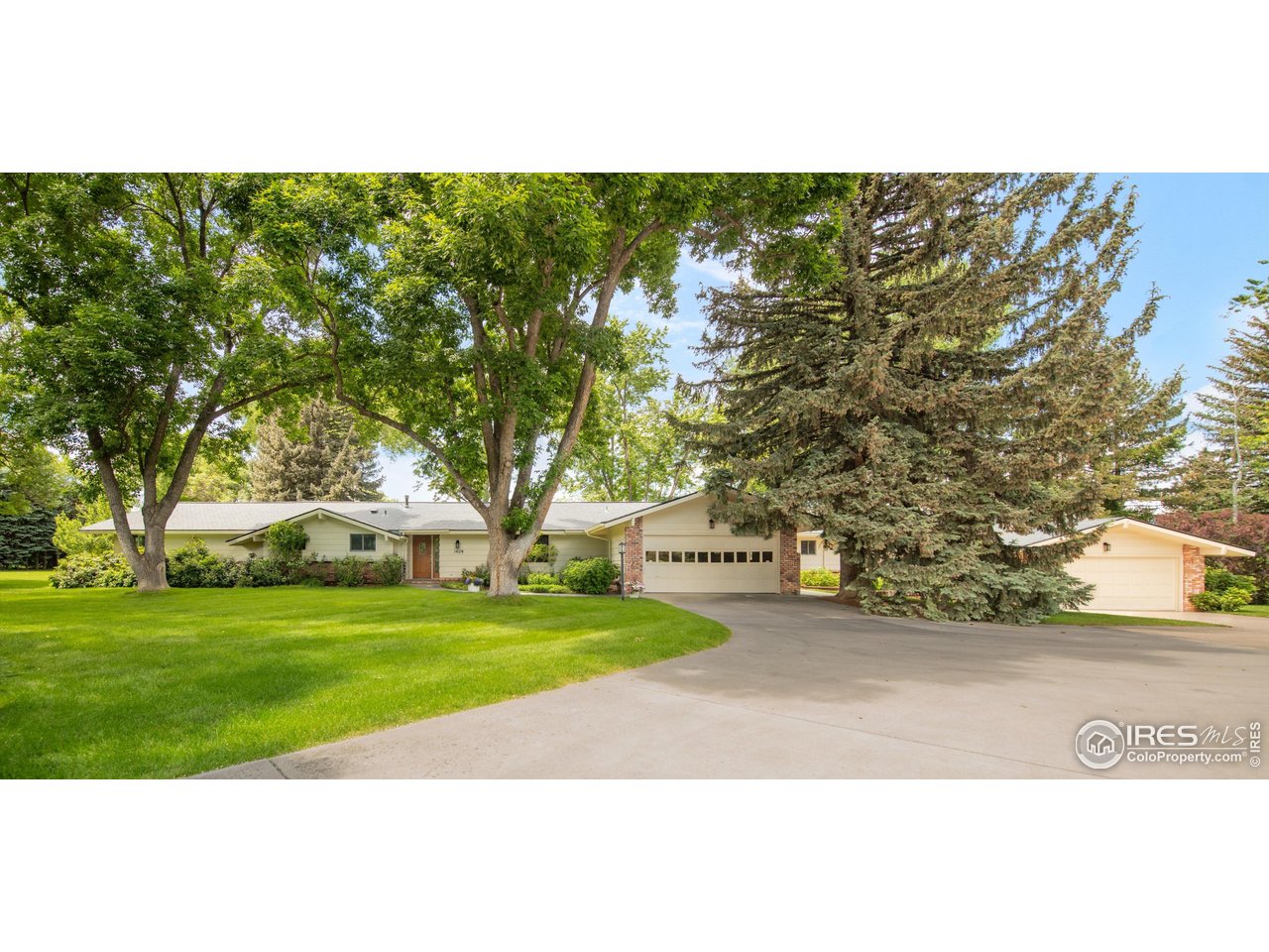 1409 Old Tale Road Boulder, CO 80303 - Photo 7 of 40 a view of a yard with an trees