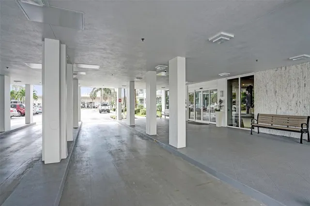 a view of a palm trees