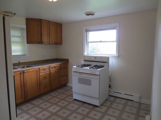 459 4th Street Lemont, IL 60439 - Photo 7 of 9