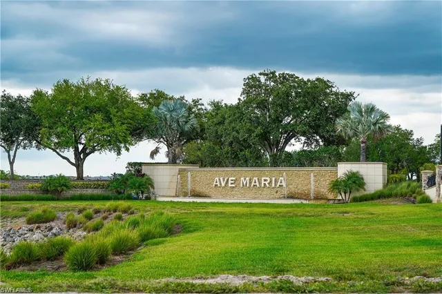 a view of a park with plants and a bench