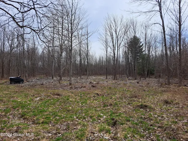 $112,500 | 11.5 Military Turnpike, Ellenburg Depot, NY 12935