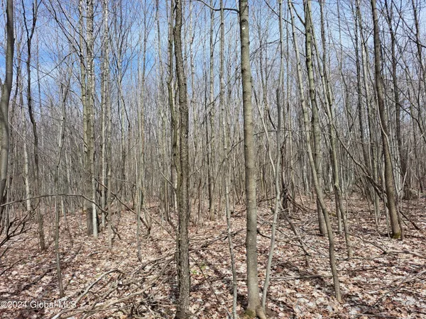 $112,500 | 11.5 Military Turnpike, Ellenburg Depot, NY 12935