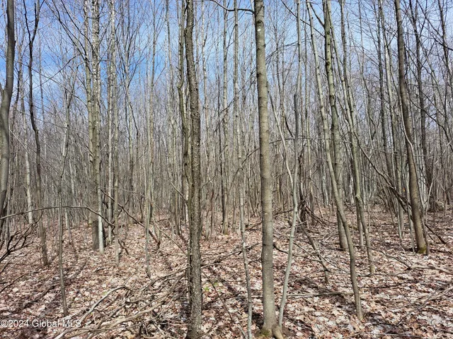 $125,000 | 11.5 Military Turnpike, Ellenburg Depot, NY 12935