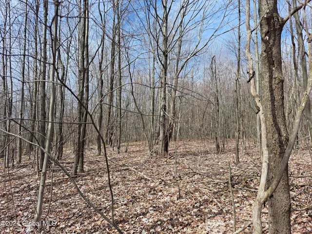 $125,000 | 11.5 Military Turnpike, Ellenburg Depot, NY 12935