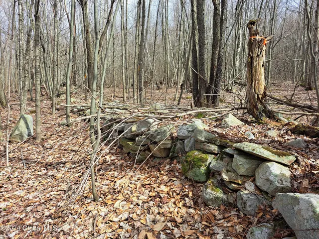 $125,000 | 11.5 Military Turnpike, Ellenburg Depot, NY 12935