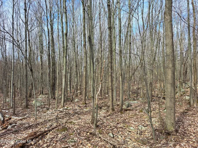 $125,000 | 11.5 Military Turnpike, Ellenburg Depot, NY 12935