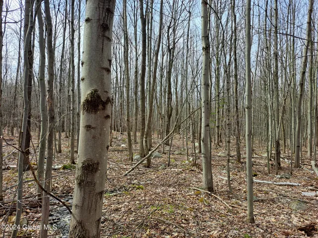 $125,000 | 11.5 Military Turnpike, Ellenburg Depot, NY 12935