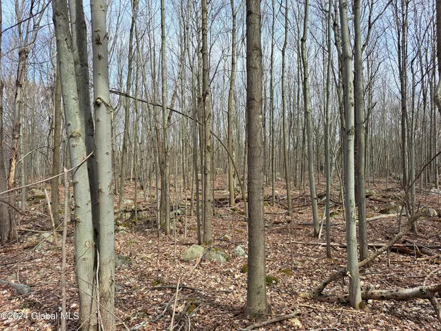 $125,000 | 11.5 Military Turnpike, Ellenburg Depot, NY 12935