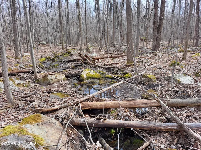 $125,000 | 11.5 Military Turnpike, Ellenburg Depot, NY 12935