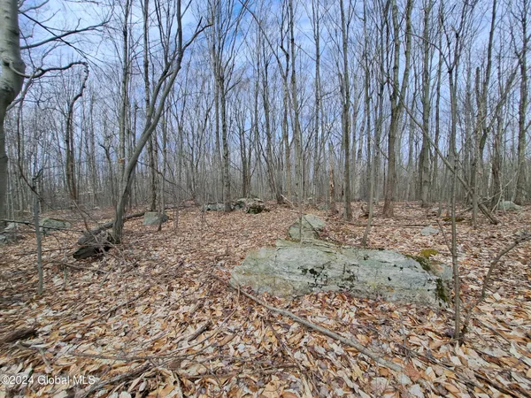 $112,500 | 11.5 Military Turnpike, Ellenburg Depot, NY 12935