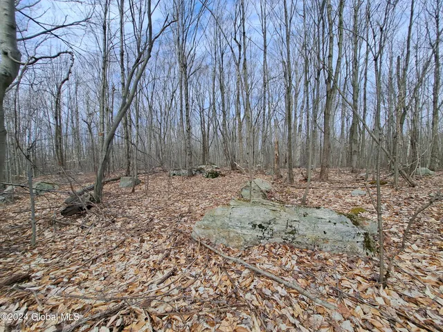 $125,000 | 11.5 Military Turnpike, Ellenburg Depot, NY 12935