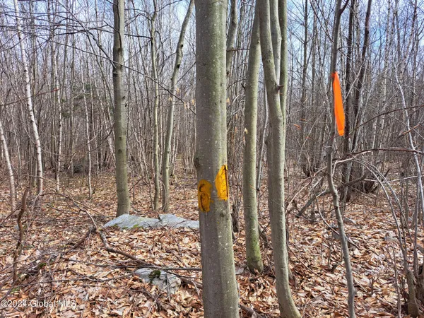 $112,500 | 11.5 Military Turnpike, Ellenburg Depot, NY 12935