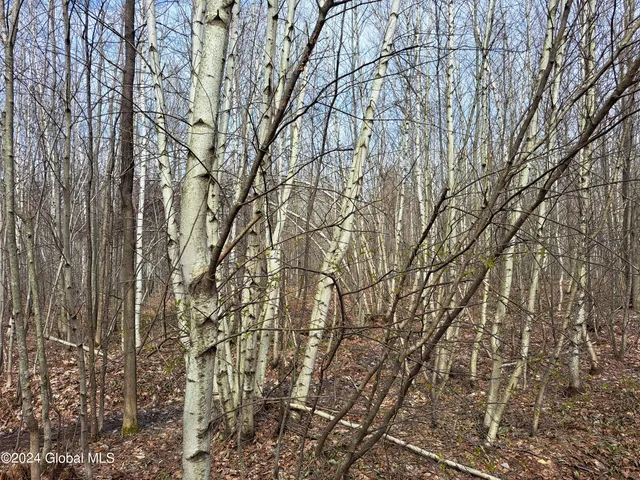 $125,000 | 11.5 Military Turnpike, Ellenburg Depot, NY 12935