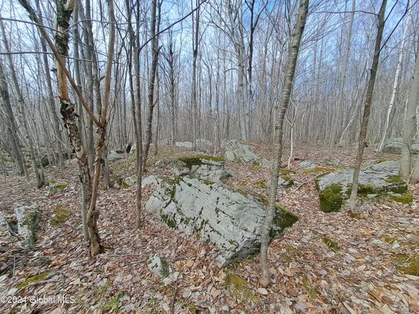 $112,500 | 11.5 Military Turnpike, Ellenburg Depot, NY 12935