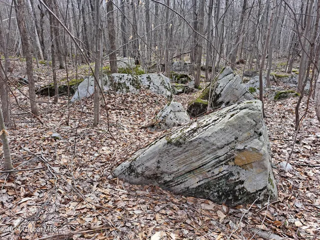 $125,000 | 11.5 Military Turnpike, Ellenburg Depot, NY 12935