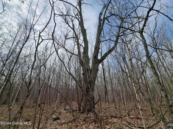 $112,500 | 11.5 Military Turnpike, Ellenburg Depot, NY 12935