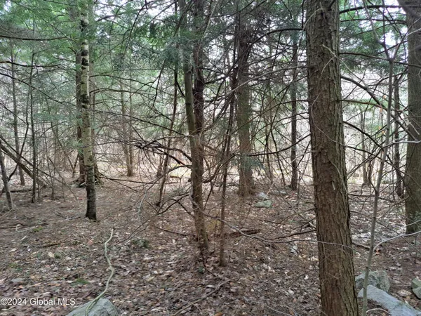 $112,500 | 11.5 Military Turnpike, Ellenburg Depot, NY 12935