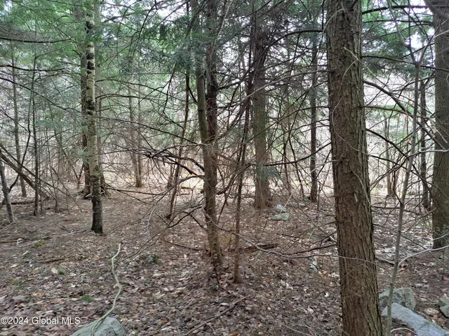 $125,000 | 11.5 Military Turnpike, Ellenburg Depot, NY 12935