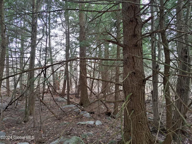 $125,000 | 11.5 Military Turnpike, Ellenburg Depot, NY 12935