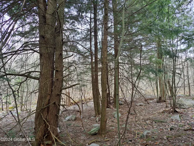 $125,000 | 11.5 Military Turnpike, Ellenburg Depot, NY 12935