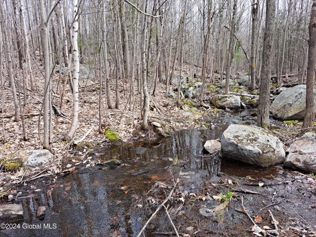 $125,000 | 11.5 Military Turnpike, Ellenburg Depot, NY 12935