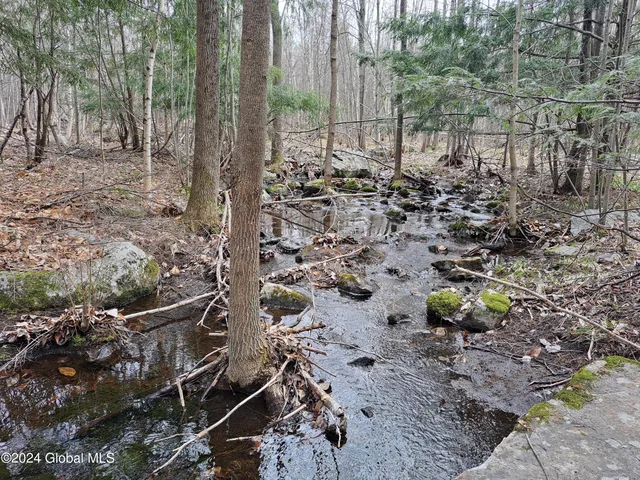 $125,000 | 11.5 Military Turnpike, Ellenburg Depot, NY 12935