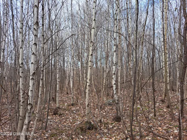 $112,500 | 11.5 Military Turnpike, Ellenburg Depot, NY 12935