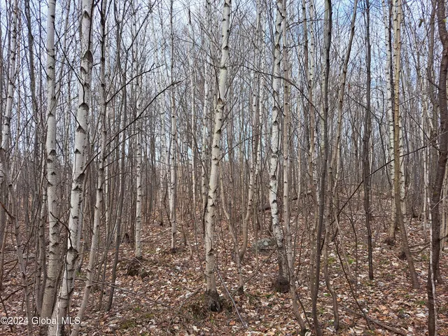 $125,000 | 11.5 Military Turnpike, Ellenburg Depot, NY 12935