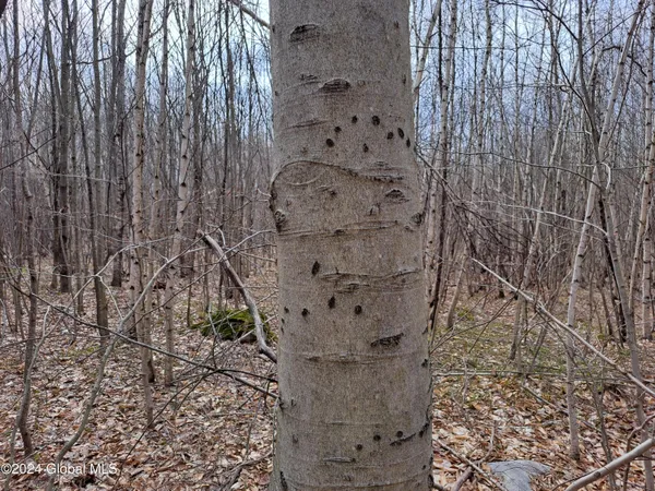 $112,500 | 11.5 Military Turnpike, Ellenburg Depot, NY 12935