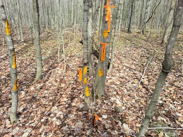 $125,000 | 11.5 Military Turnpike, Ellenburg Depot, NY 12935