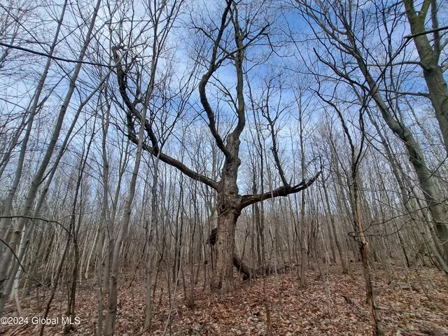 $125,000 | 11.5 Military Turnpike, Ellenburg Depot, NY 12935